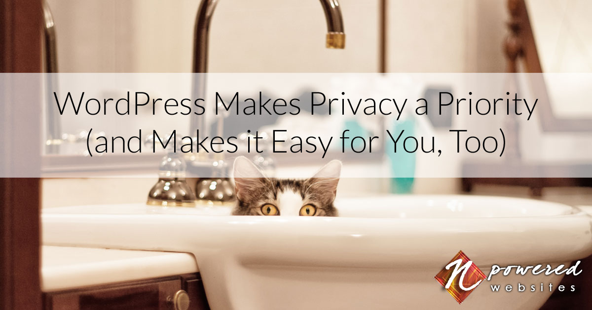 Wordpress Makes Privacy A Priority And Makes It Easy For You Too N